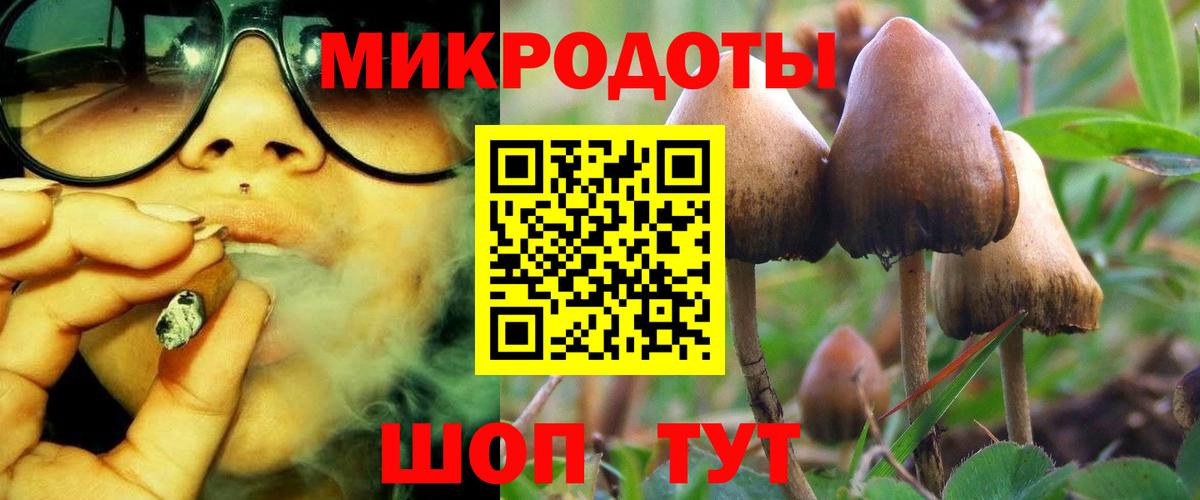 Псилоцибиновые грибы мицелий  Вход с VPN  Псилоцибиновые грибы Cubensis  Чехов 